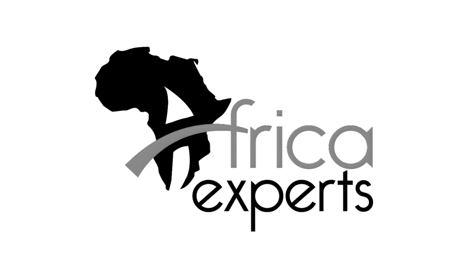 Africa Experts Inc